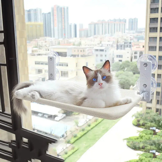 Foldable cat hammock with double suction cups for secure window placement.