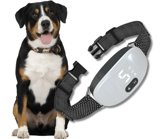 Anti-Bark Smart Dog Training Collar with adjustable sensitivity and rechargeable battery